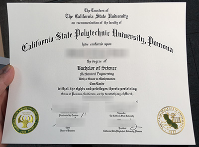 CPP Diploma