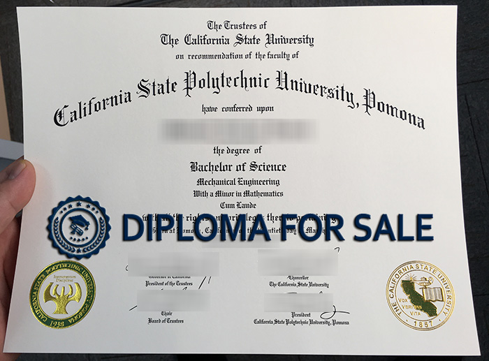 CPP Diploma CPP Diploma