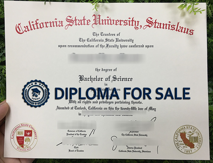 Stan State Diploma Stan State Diploma