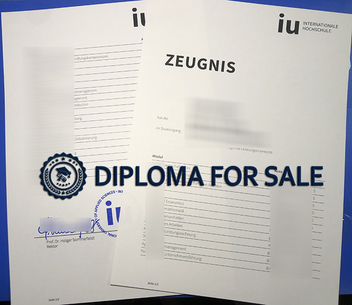 IU Internationale Hochschule Transcript IU Internationale Hochschule Transcript