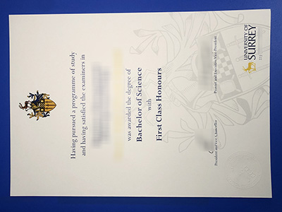 University of Surrey Degree