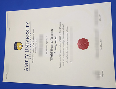 Amity University Diploma