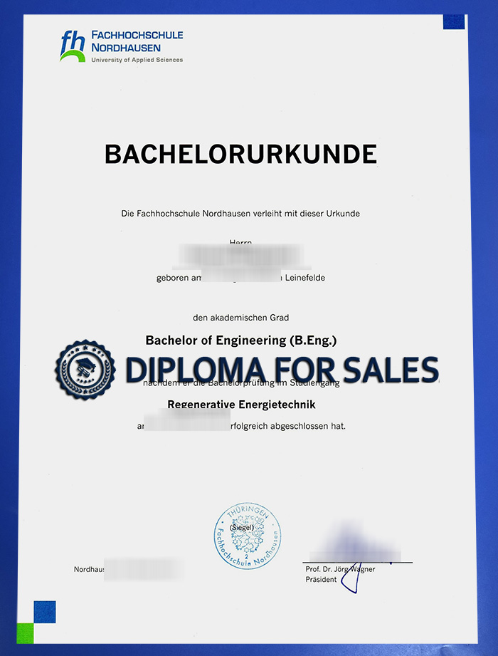 HSN Urkunde HSN Urkunde