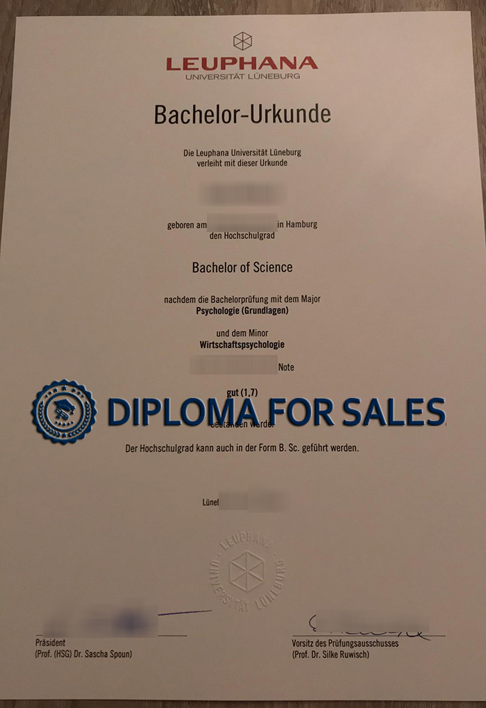 Leuphana University of Lüneburg Urkunde Leuphana University of Lüneburg Urkunde