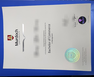 Murdoch University Degree