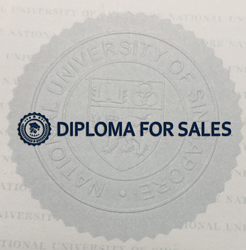 NUS Transcript NUS Transcript