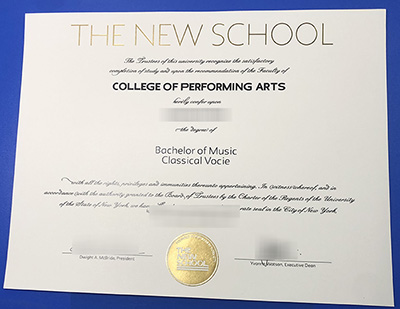 The New School Diploma
