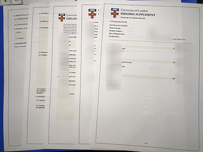 University of London Transcript