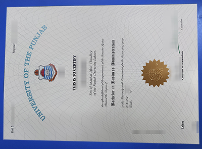 University of the Punjab Diploma