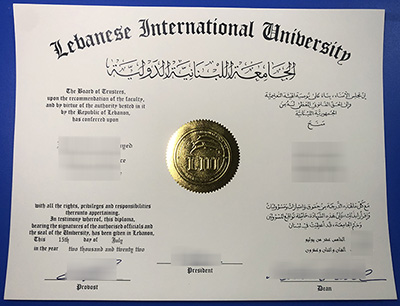 LIU Diploma