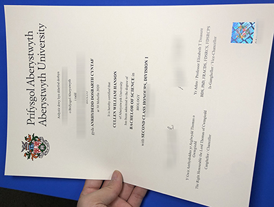 Aberystwyth University Degree