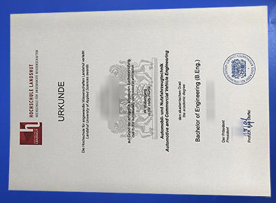 Hochschule Landshut Urkunde