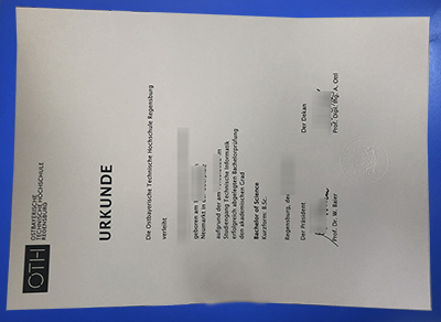 OTH Regensburg Urkunde