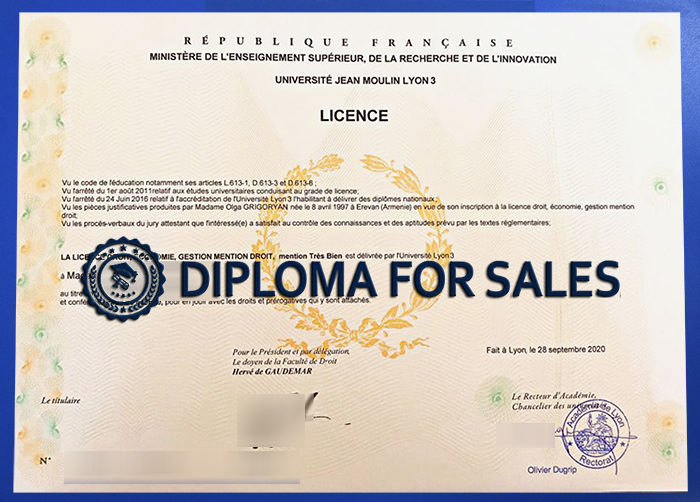Université Jean Moulin Lyon 3 Diploma Université Jean Moulin Lyon 3 Diploma