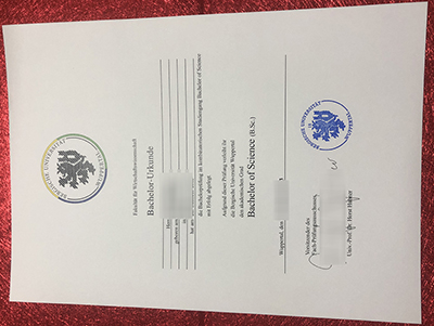 Universität Wuppertal Urkunde