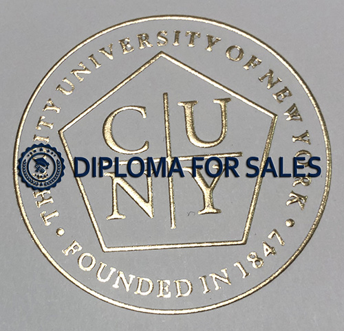 Baruch College Diploma seal