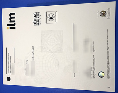 City and Guilds of London Institute Diploma