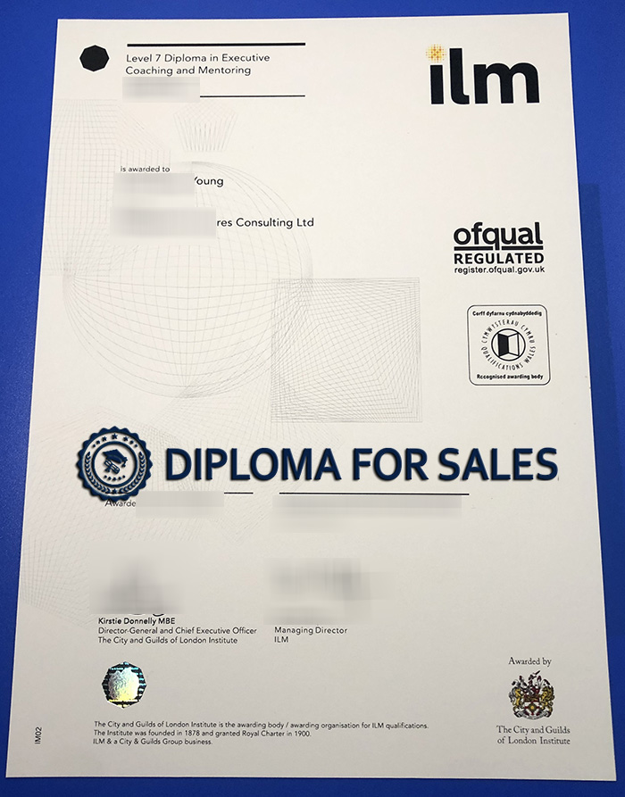 City and Guilds of London Institute Diploma City and Guilds of London Institute Diploma