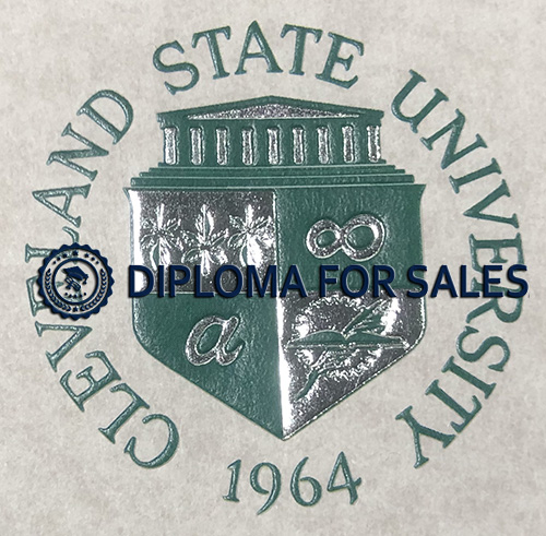 CSU Diploma seal CSU Diploma seal