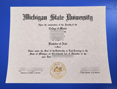 MSU Diploma