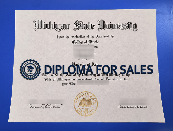 MSU Diploma MSU Diploma