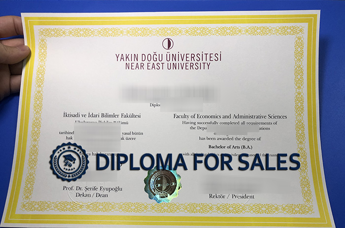 NEU Degree NEU Degree