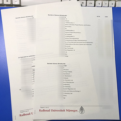 Radboud University Transcript