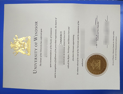 University of Windsor Degree