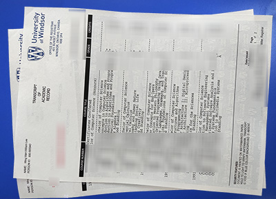 University of Windsor Transcript