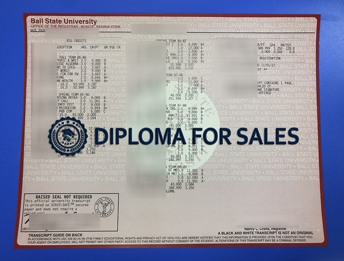 BSU Transcript BSU Transcript