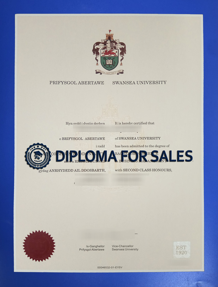 Swansea University Degree Swansea University Degree