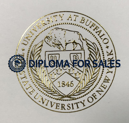University at Buffalo Diploma seal University at Buffalo Diploma seal