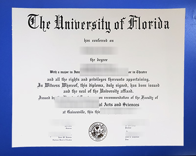 University of Florida Diploma