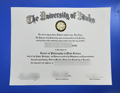 University of Idaho Diploma