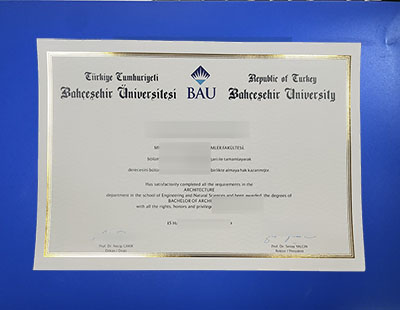 BAU Diploma