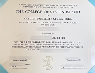 CSI Diploma
