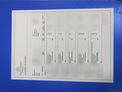 SEGi University Transcript