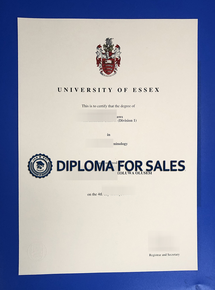 University of Essex Degree University of Essex Degree
