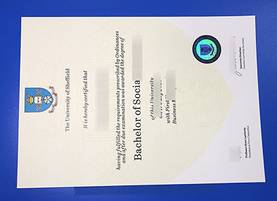 University of Sheffield Degree