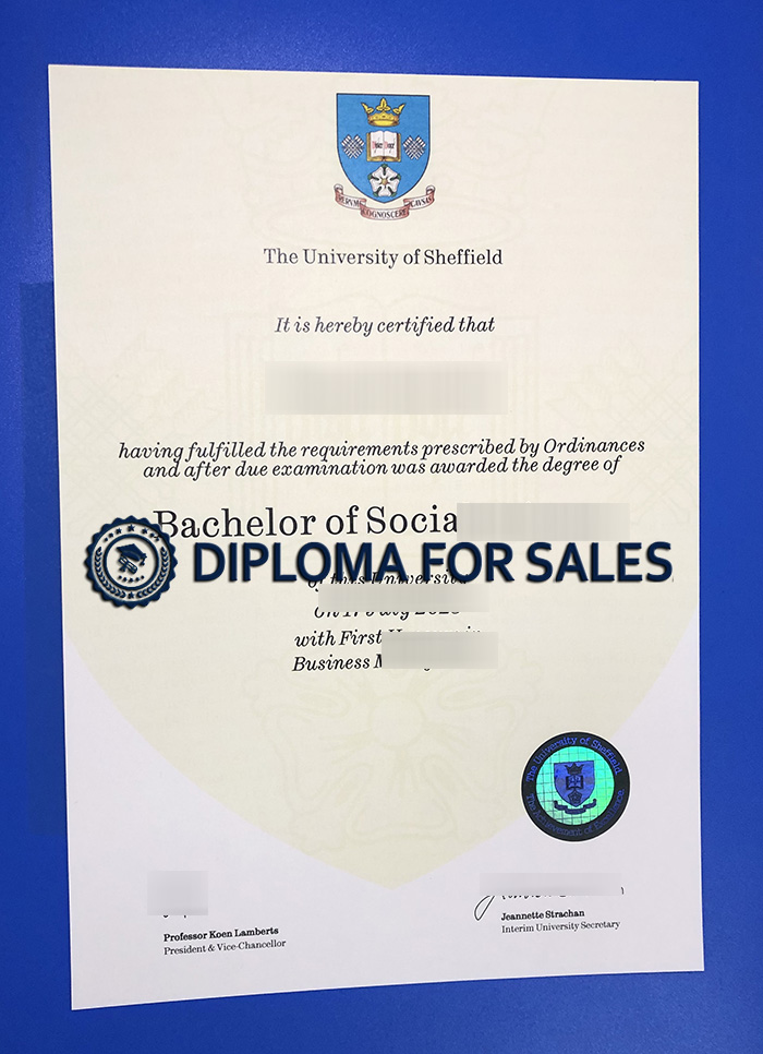 University of Sheffield Degree University of Sheffield Degree