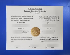LAU Diploma