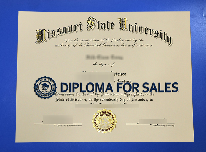 MSU Diploma