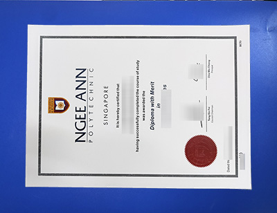 Ngee Ann Polytechnic Diploma