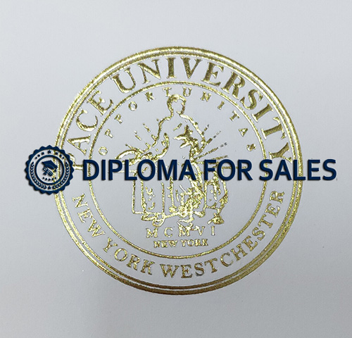 Pace University Diploma seal Pace University Diploma seal