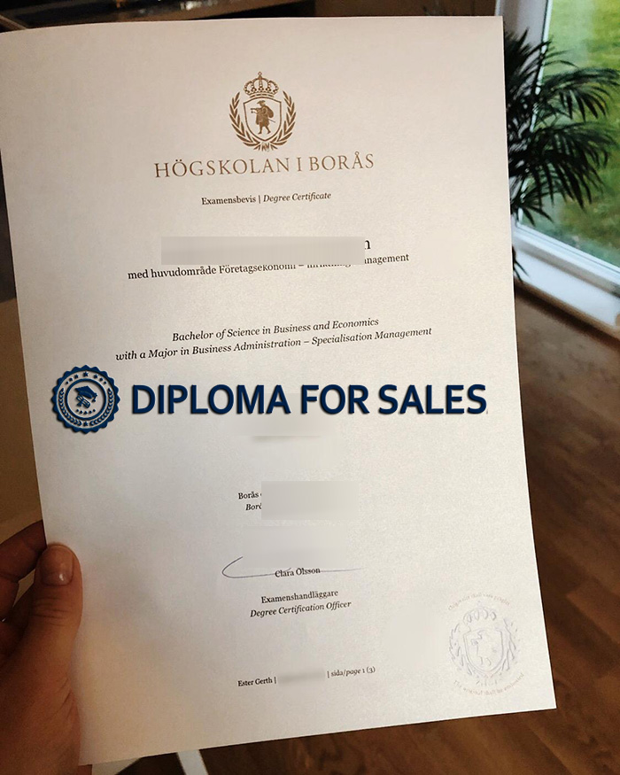 University of Borås Diploma