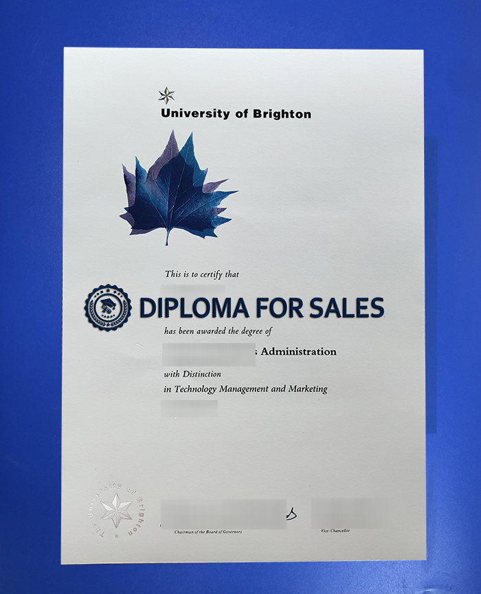 University of Brighton Degree
