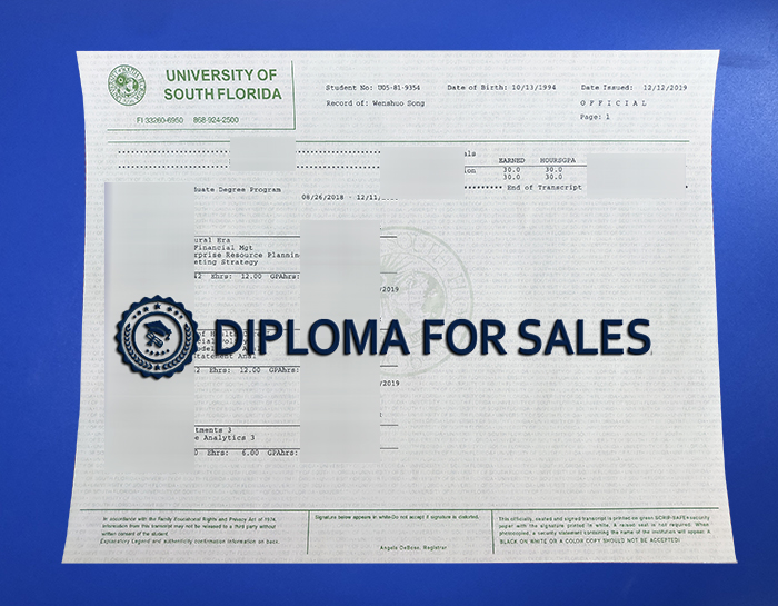 USF Transcript USF Transcript