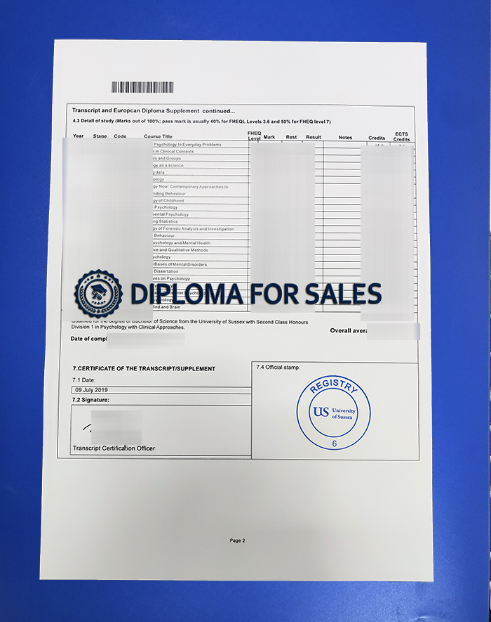 University of Sussex Transcript