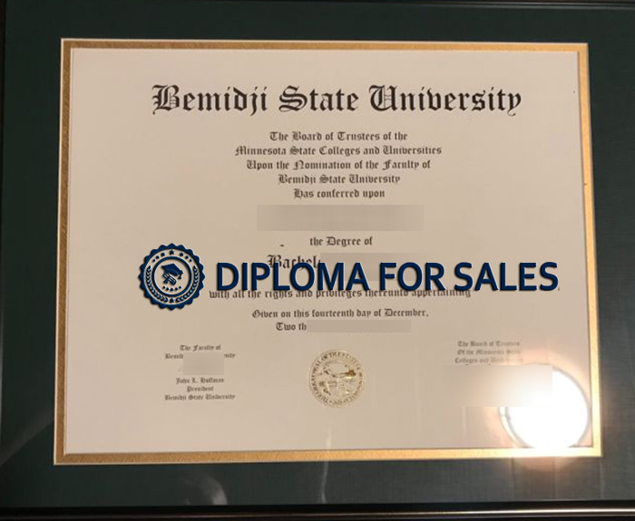 Bemidji State University Diploma