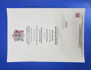 Cardiff University Degree